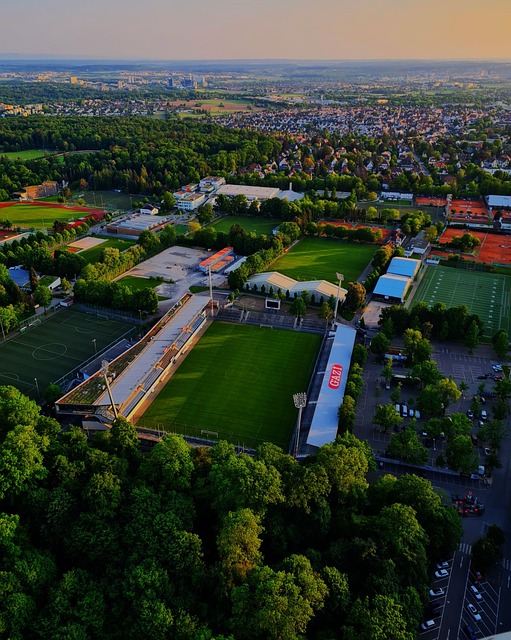 在新华社体 在新华社体