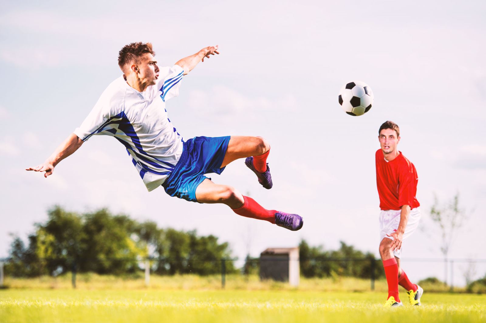 引发了广大 引发了广大