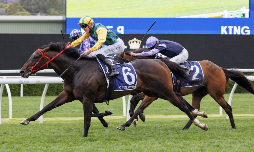 她用行动表 她用行动表